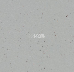 Линолеум Forbo Marmoleum Decibel on Order 358235 earl grey chocolate фото 1 | FLOORDEALER